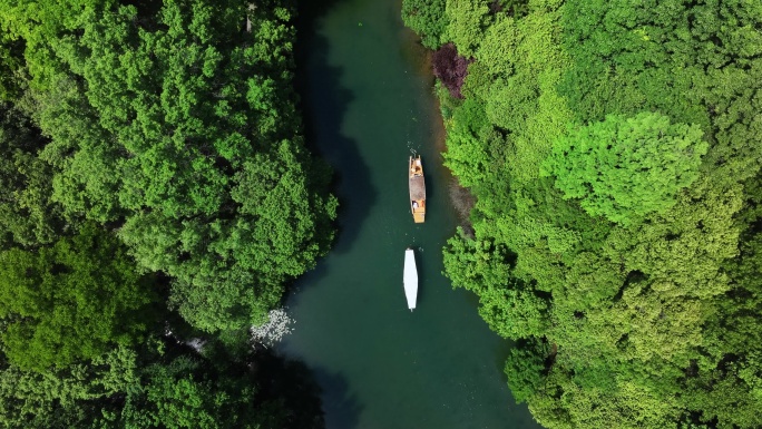 西湖的摇橹船在小河道里从乌龟潭驶向御湖湾