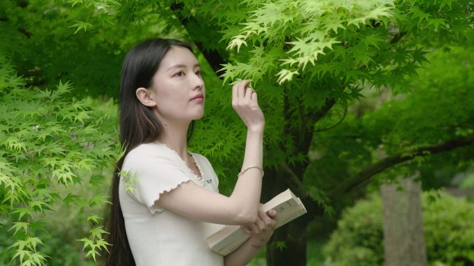 看书校园公园大学绿色花草春天夏日阳光女孩