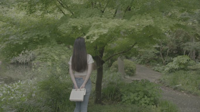 夏天阳光女孩美丽大学生看书原素材