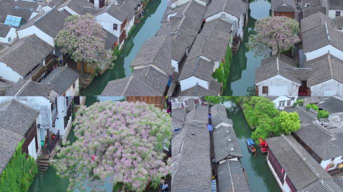 春天雨后江南水乡古镇周庄古镇风景航拍