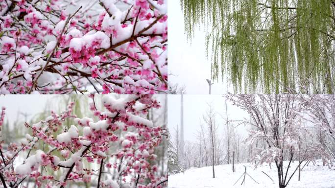 大雪户外空镜