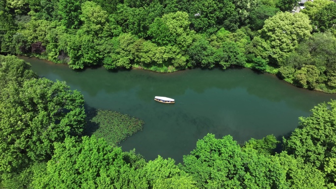 西湖的摇橹船在小河道里从乌龟潭驶向御湖湾