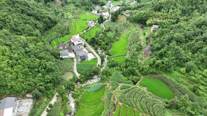 航拍梯田茶山风景素材