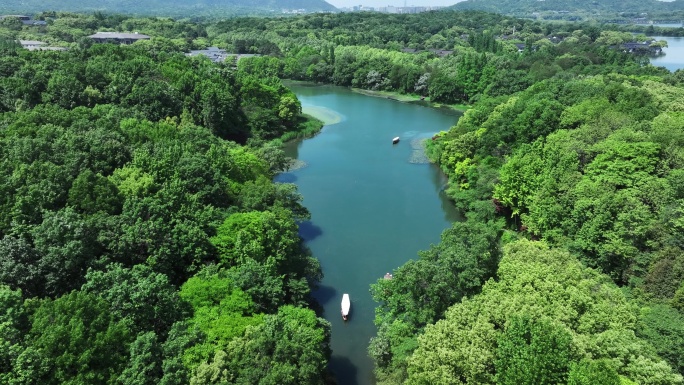 西湖的摇橹船在小河道里从乌龟潭驶向御湖湾