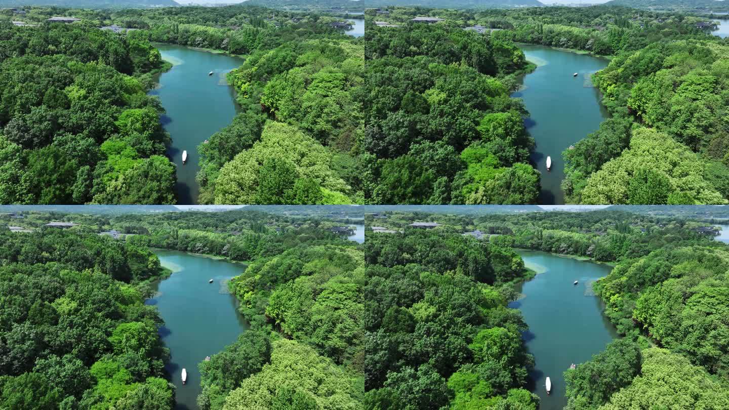 西湖的摇橹船在小河道里从乌龟潭驶向御湖湾