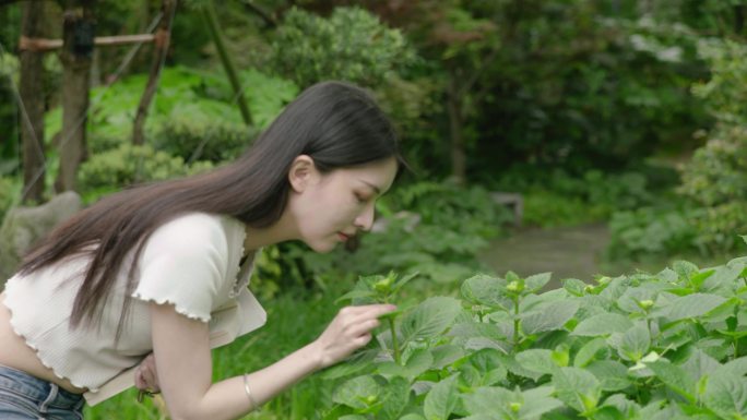 校园公园大学中学绿色花草春天夏日阳光女孩