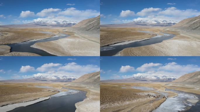 最美新疆风景系列-河流羊群