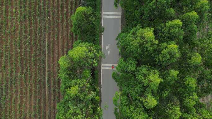 乡村小路乡村道路骑行骑自行车低碳出行