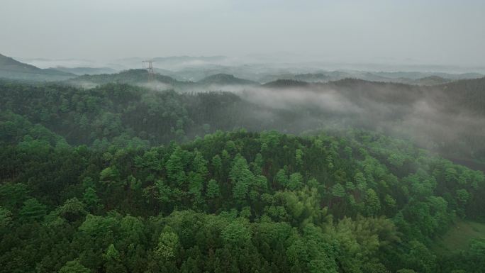 山村清晨