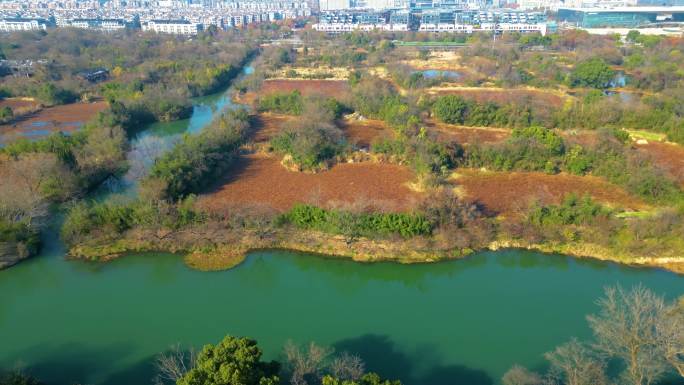 杭州西湖区西溪湿地风光风景视频素材