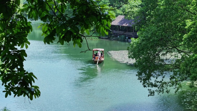 西湖的摇橹船在小河道里从乌龟潭驶向御湖湾