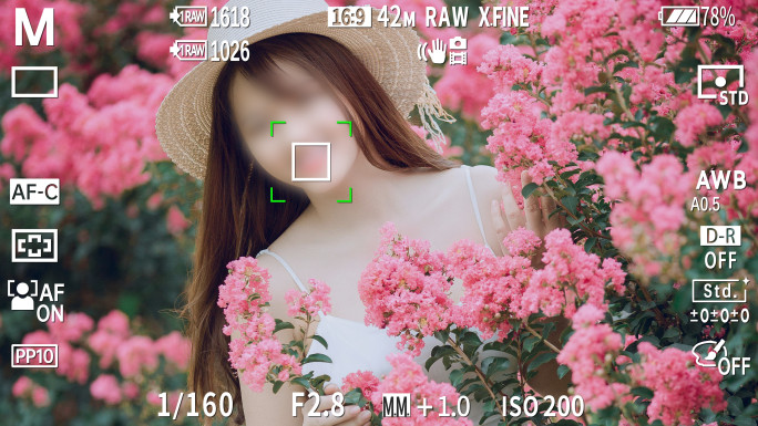 唯美拍照多张图片展示定格4K