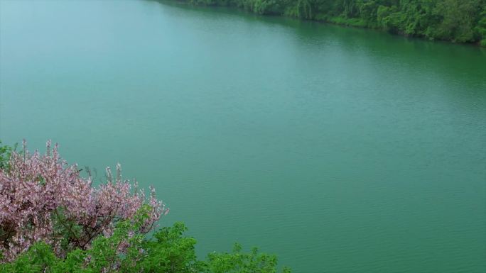 运河城市 绿水青山