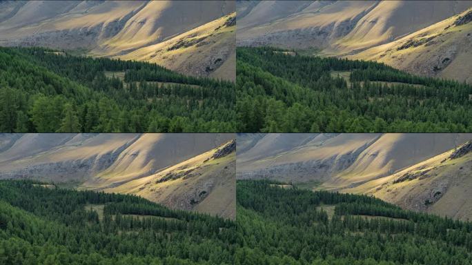 天山森林山谷冰川融水河流