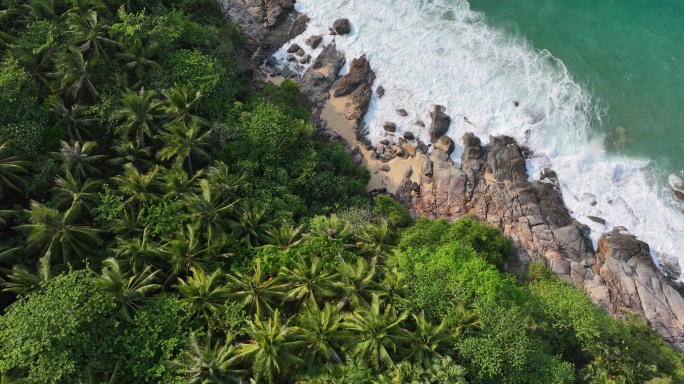 椰林海岸线