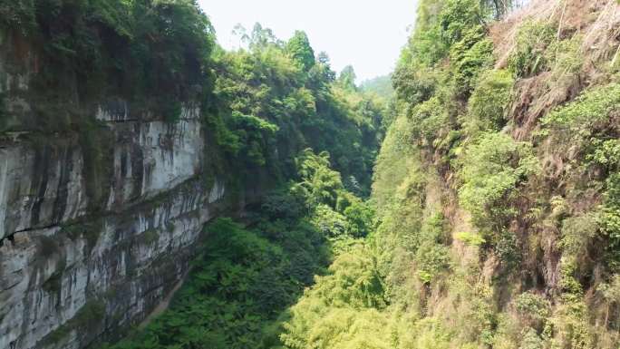 航拍+穿越机乐山桫椤峡谷