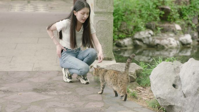 猫咪宠物校园公园大学绿色春天夏日阳光女孩