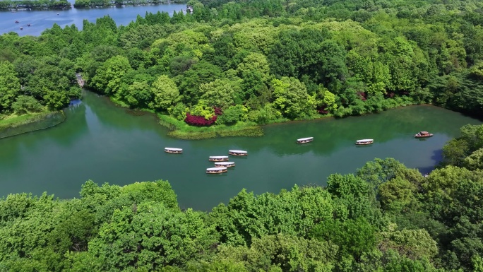 西湖的摇橹船在小河道里从乌龟潭驶向御湖湾