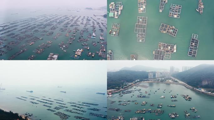 航拍海上水产养殖场-广东海陵岛蒲鱼洲湾