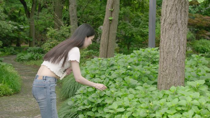 大学校园看书学习青春女孩阳光公园树林