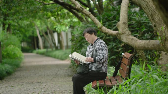 老年人老太太公园看书散步夏天