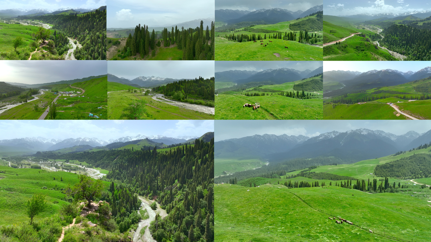 新疆伊犁恰西航拍 大自然草原