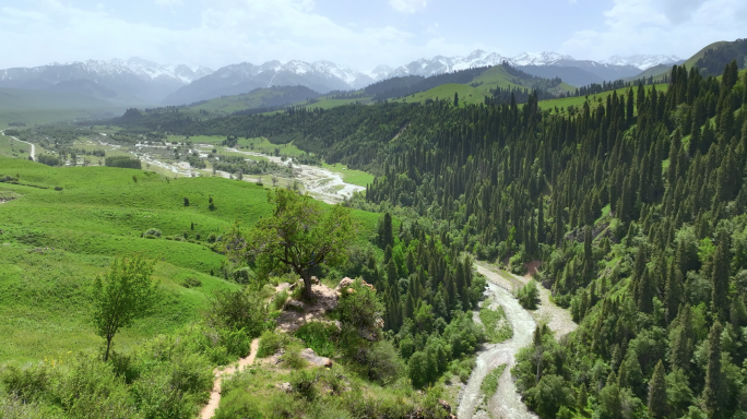 新疆伊犁恰西航拍 大自然草原