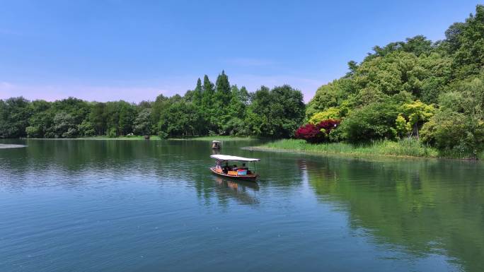 西湖的摇橹船在小河道里从乌龟潭驶向御湖湾