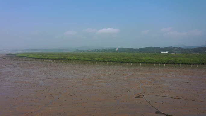 防城港市江山乡石角村珍珠湾红树林保护区