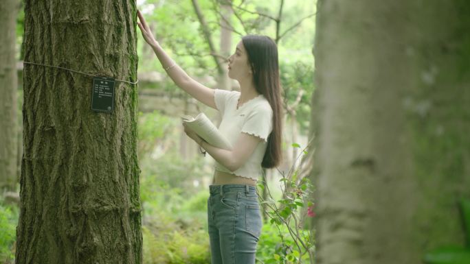 大学生美女看书夏日夏天阳光读书学习学校