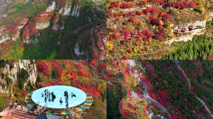 秋天山区红叶漫山遍野