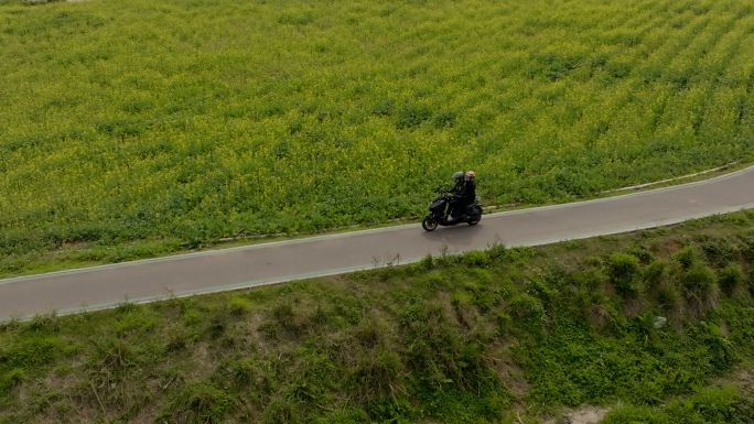 油茶花地骑行