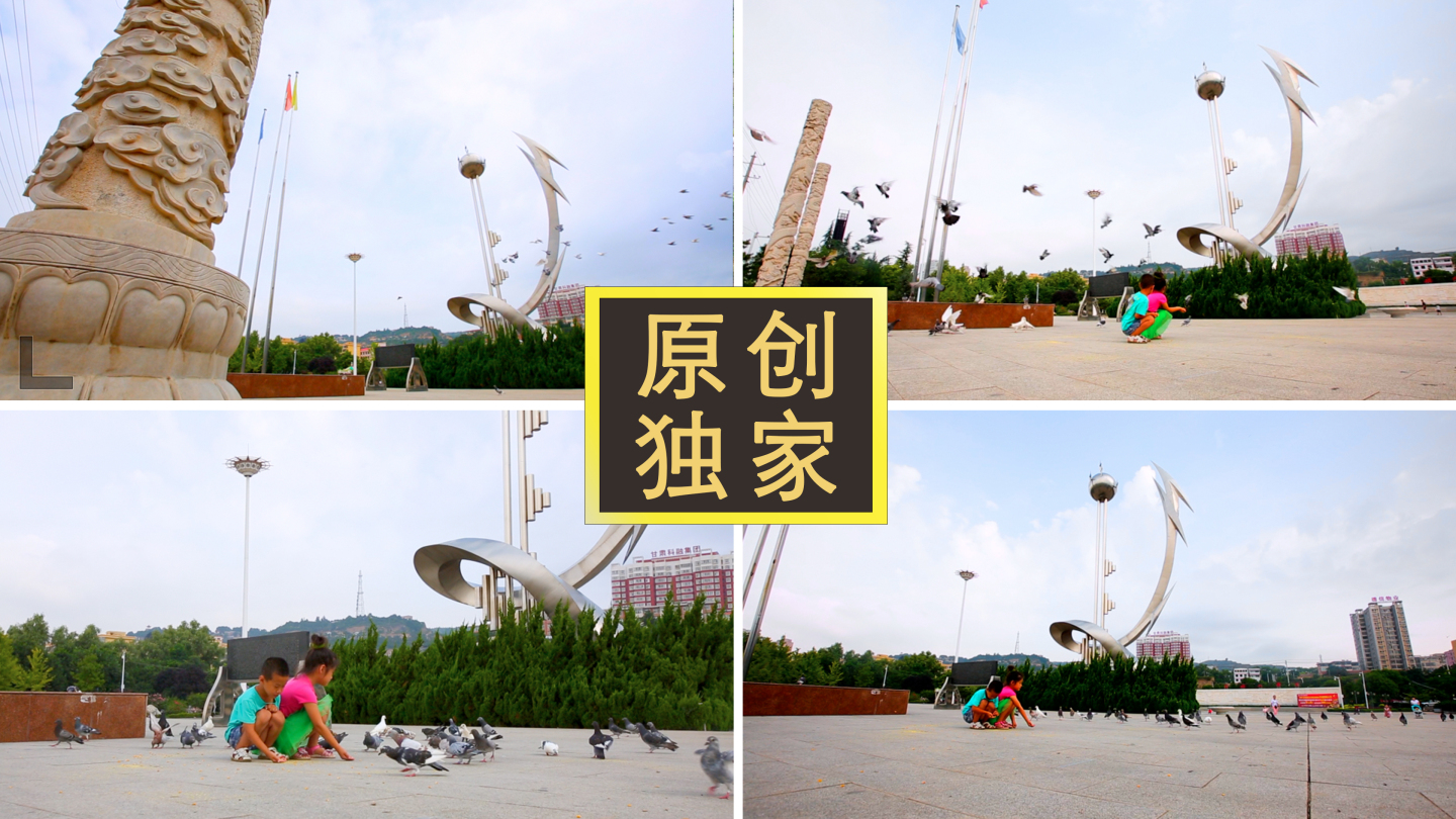 【原创】4k·庆阳市镇远县喂鸽子