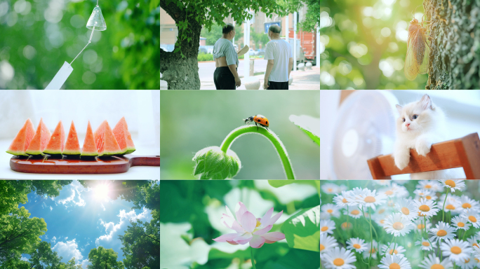 夏天立夏夏至小暑大暑小清新生活氛围空镜