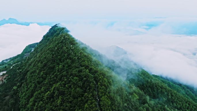 陕西秦岭商洛镇安海棠山云海