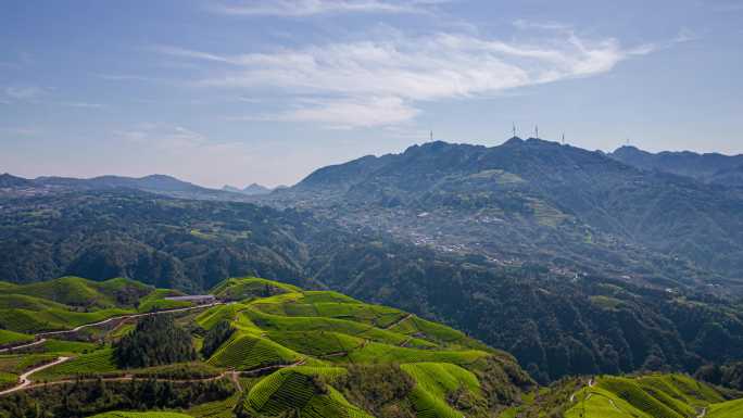 8K生态有机生态茶园山峰自然航拍延时