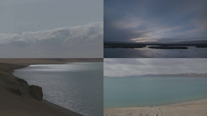 西藏风景雪山蓝天白云日落湖水