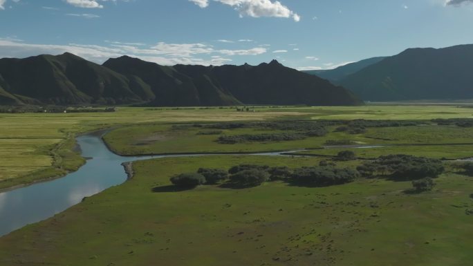 航拍西藏拉孜青稞田湿地村庄