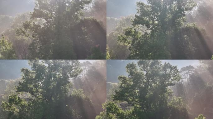 4K-Log-航拍热带雨林，五指山晨雾