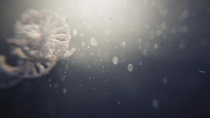 4K超写实DNA动画视频素材