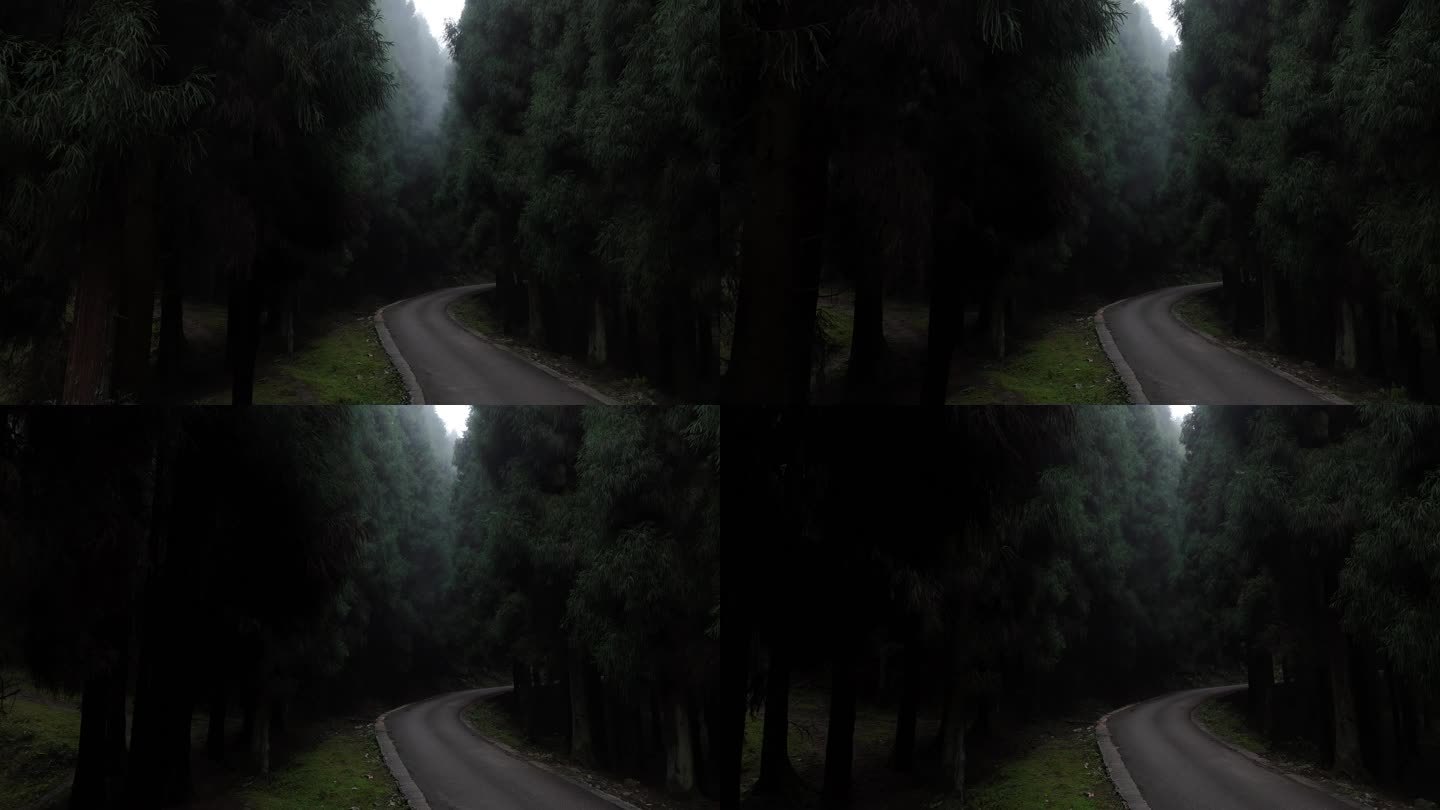 森林系风格原片