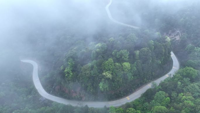 森林公路