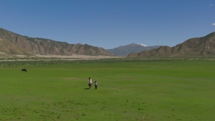 航拍西藏拉孜姑娘与牧人聊天