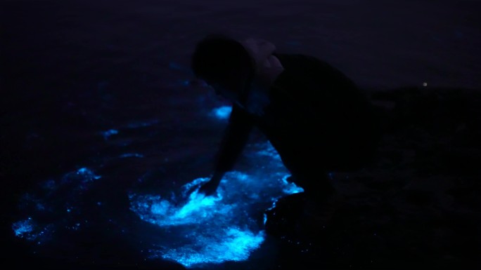 蓝色海浪 荧光海