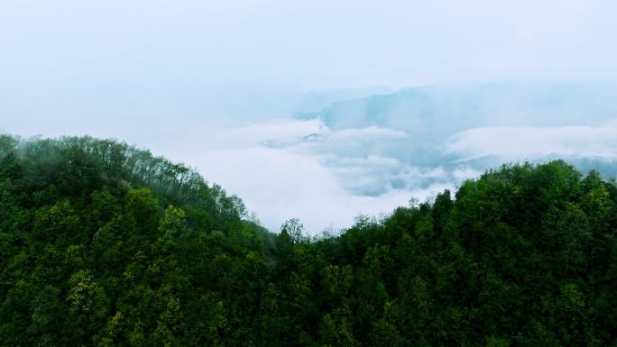 陕西秦岭商洛镇安海棠山云海