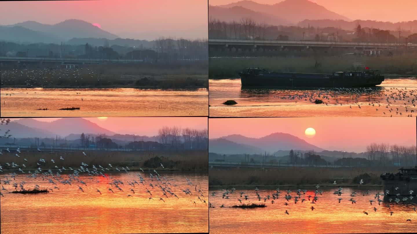 江南候鸟湖泊运河船橙色生态湿地