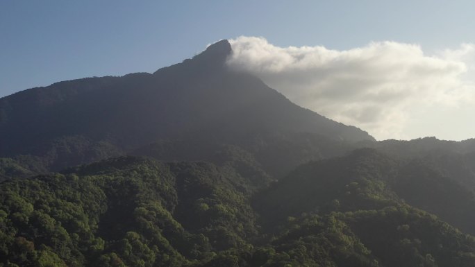 4K-Log-海南热带雨林五指山国家公园