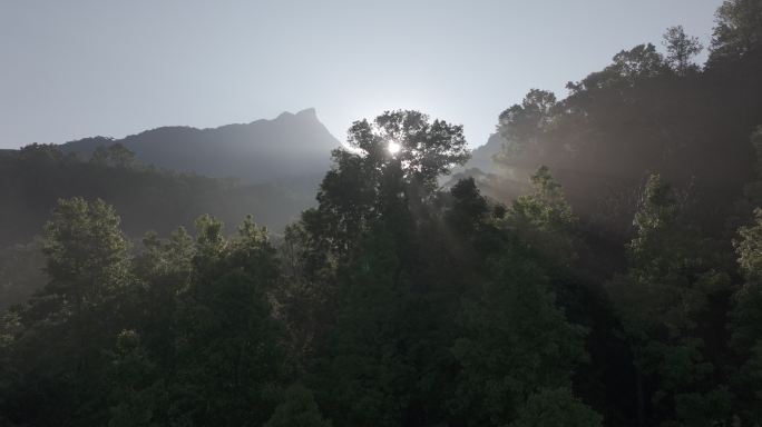 4K-Log-航拍热带雨林，五指山晨雾