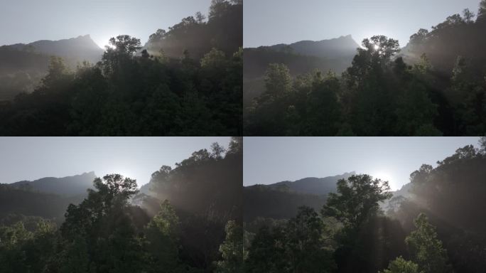 4K-Log-航拍热带雨林，五指山晨雾