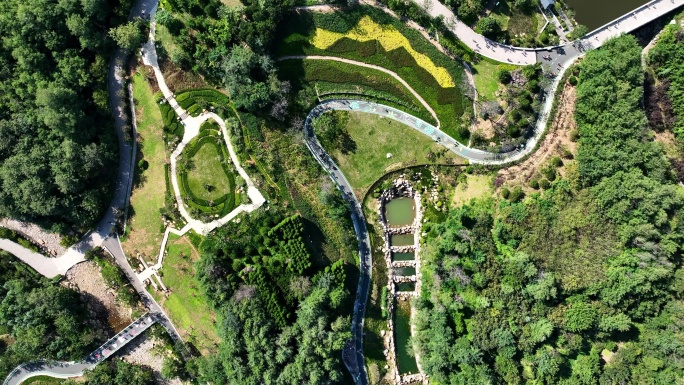 青岛风景 浮山森林公园 银川路 绿树马路